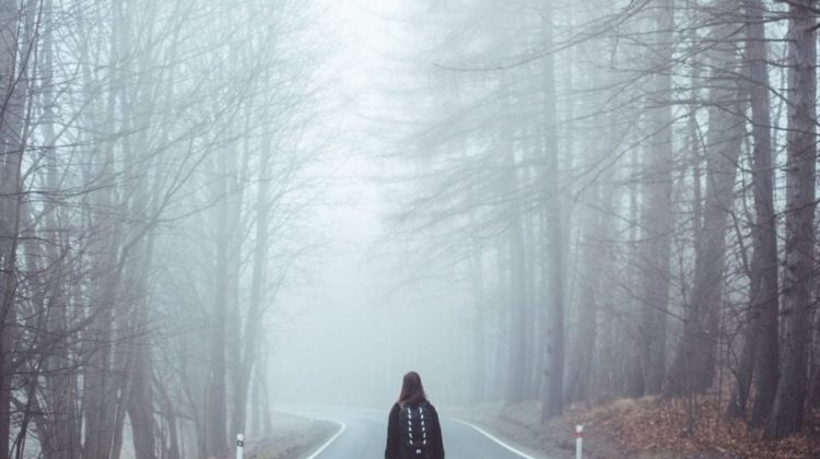 a person walking on a road with trees in the background