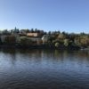 a body of water with trees and buildings on the side