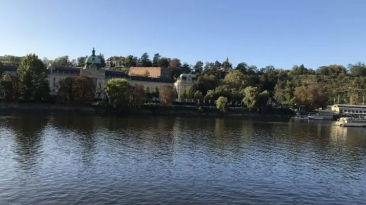 a body of water with trees and buildings on the side