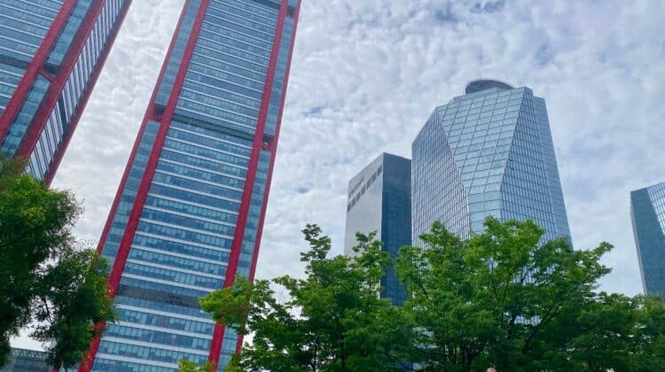 a group of tall buildings with trees in front of them