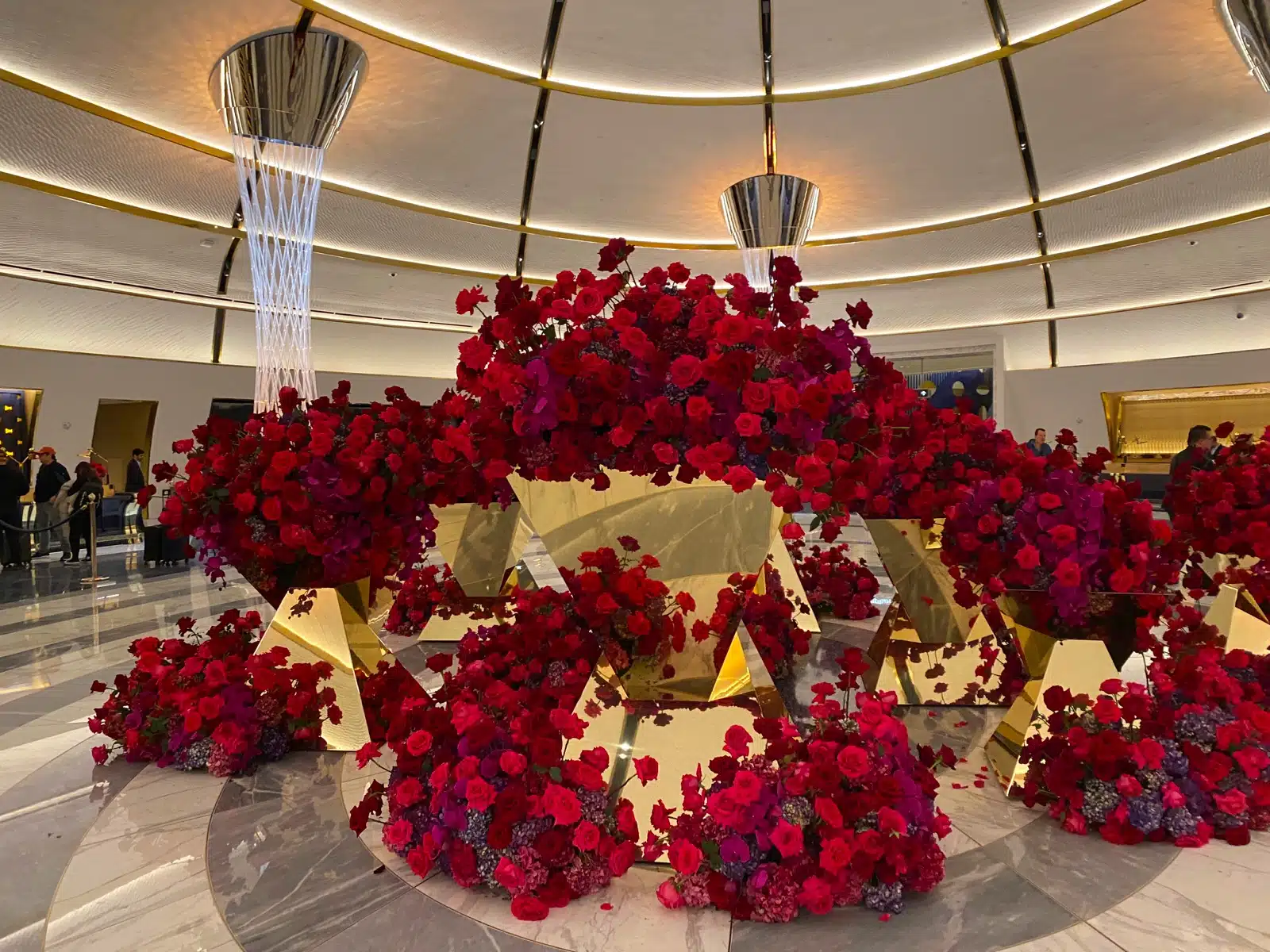 a large group of flowers in a room