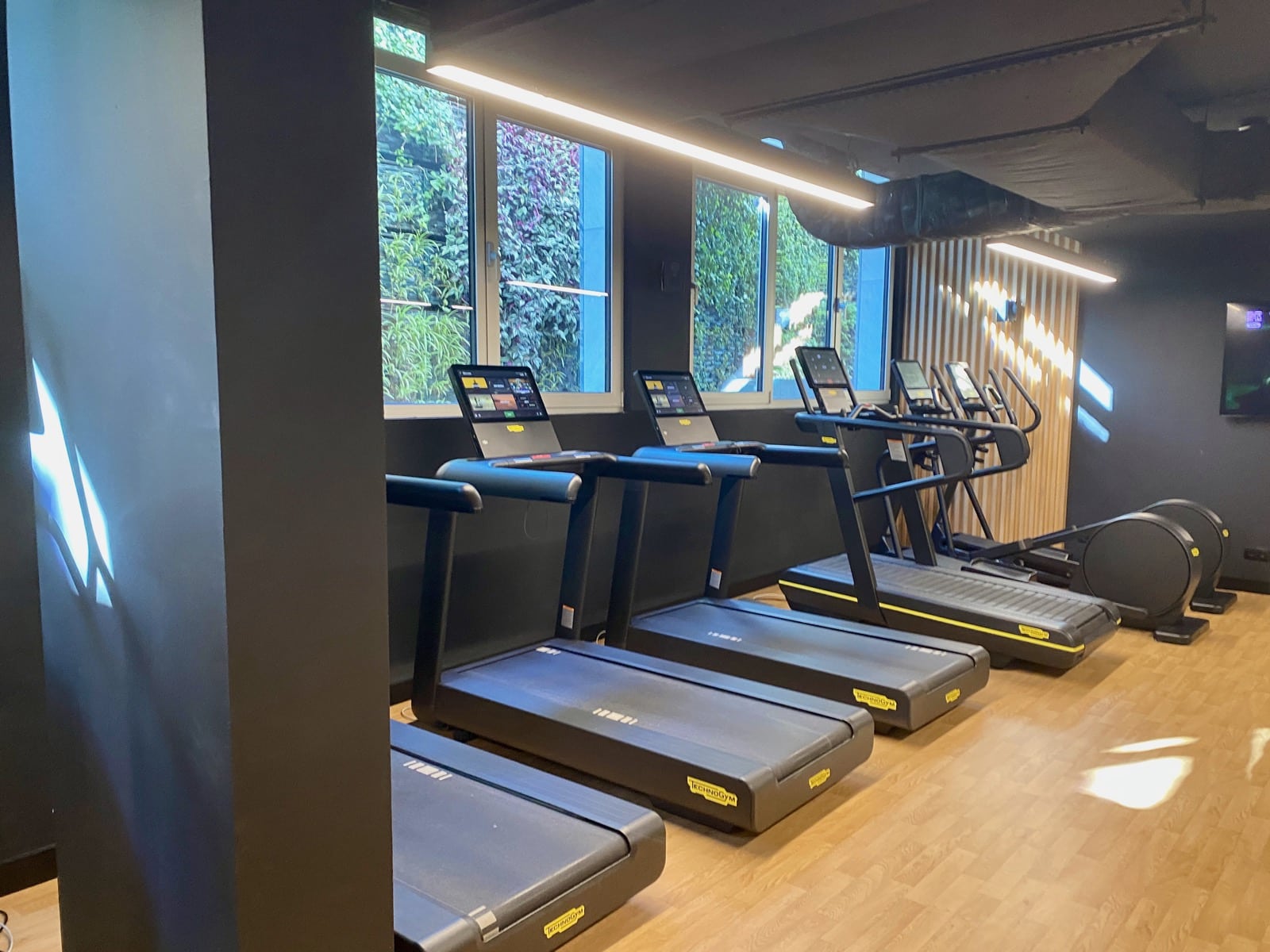 a group of treadmills in a gym