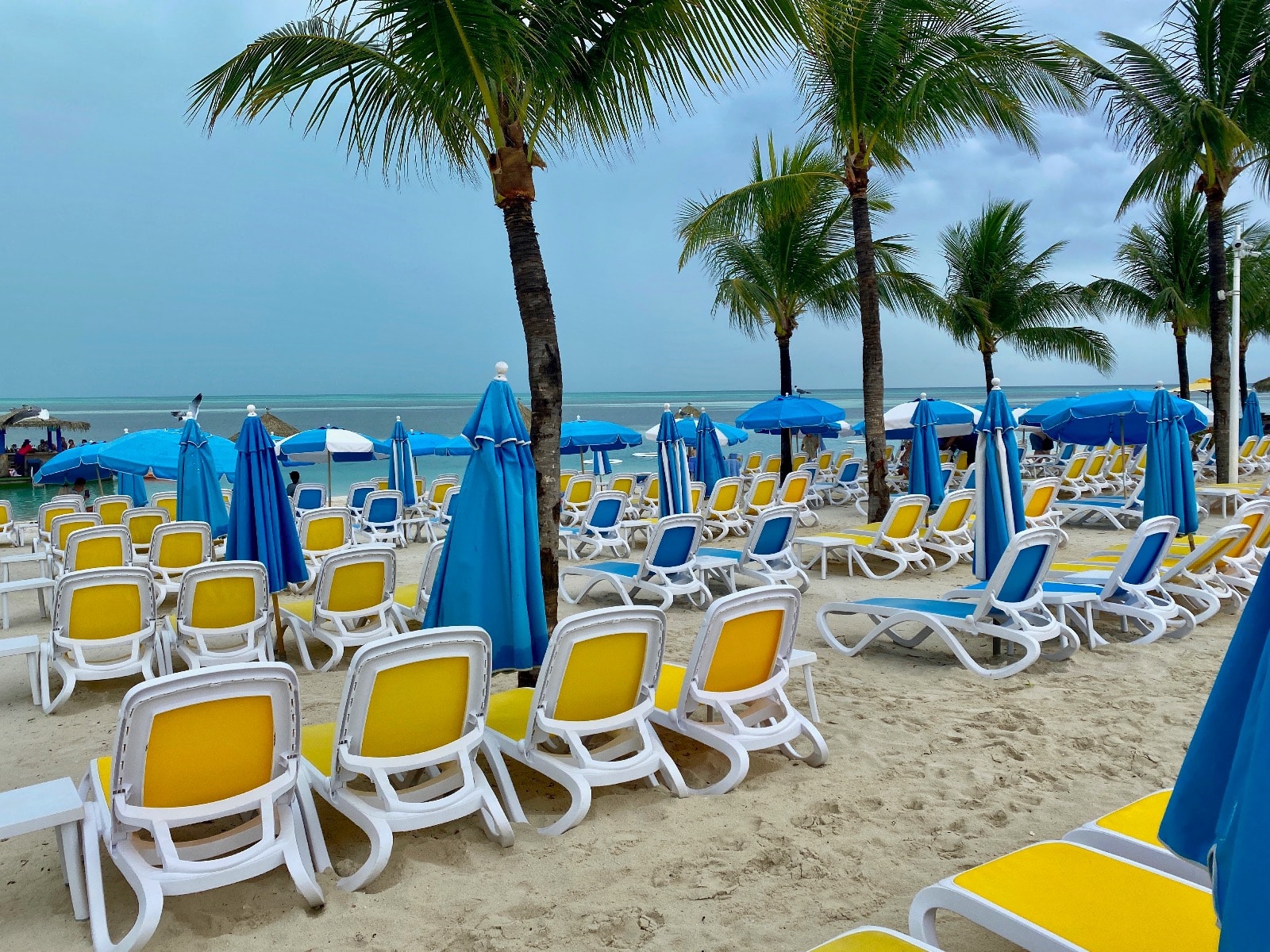 a beach with palm trees and chairs and umbrellas