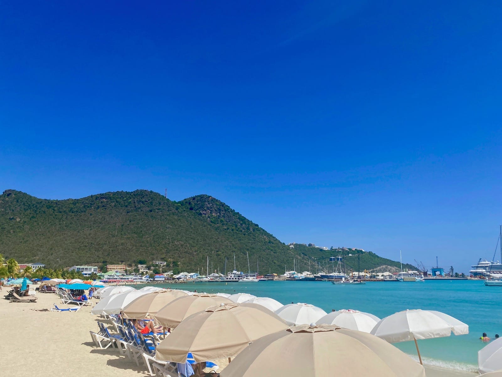 a beach with many umbrellas and chairs