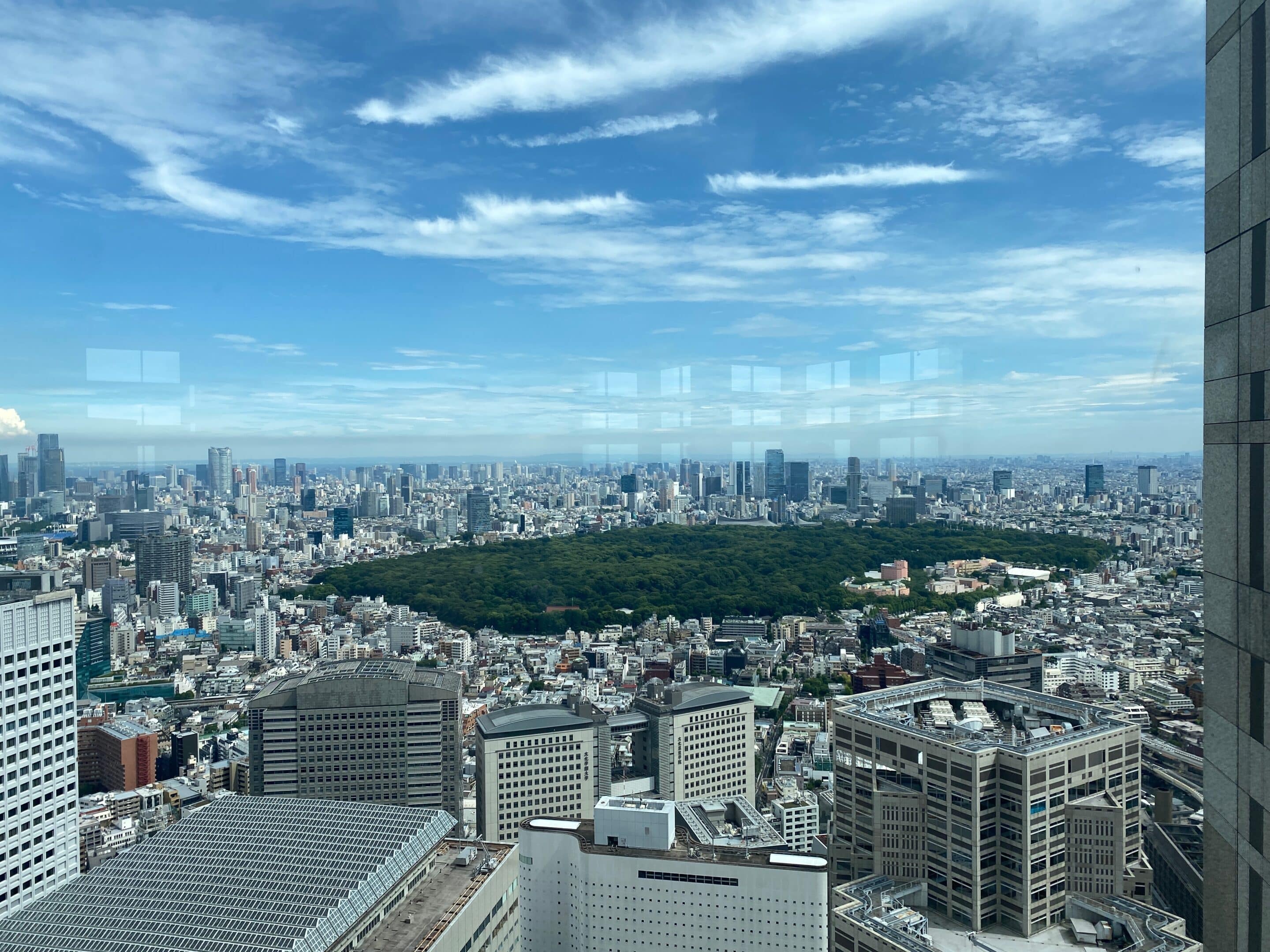 a city with a green circle in the middle