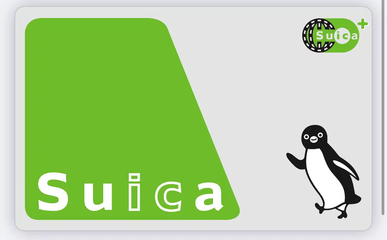 a green rectangle with a penguin and a ball